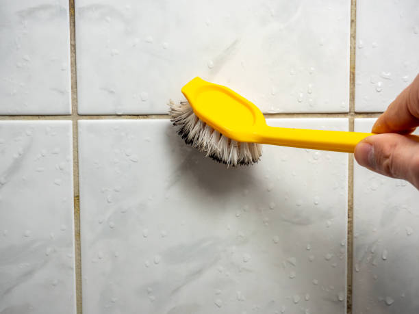 Best Mold Remediation  in Bowling Green, FL