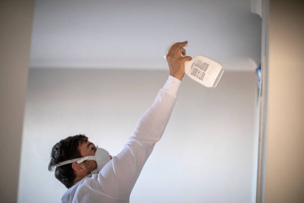 Best Black Mold Removal  in Bowling Green, FL