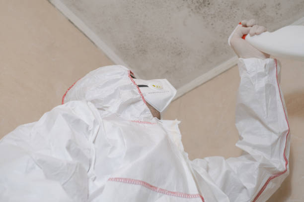 Certified Mold Removal in Bowling Green, FL